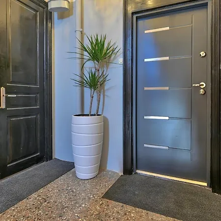 Collins Amethyst Center