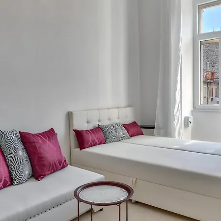 Collins Amethyst Center * 普拉