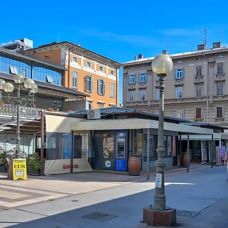 Collins Amethyst Center 普拉